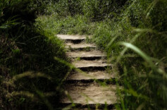 驴子思维:千万不要仅凭经验办事