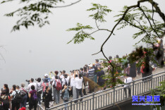 旅发进行时丨近百名摄影师齐聚资兴共赴寻美之约