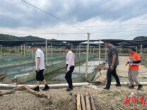 为受灾农户降息、减费！
湖南农担联手相关银行业金融机构助力灾后农业恢复生产