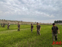 澧县复兴镇：基干民兵驰援岳阳，抗洪一线显担当