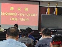 新安镇：人大代表议国土空间规划