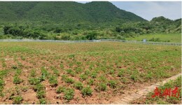 临澧县修梅镇：扎实推进矿涌水污染防治工作