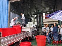 永顺：3万尾鱼苗送下乡 助力群众增产增收