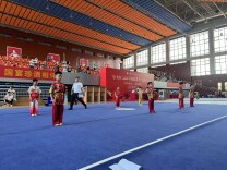 以武会友望城论剑 “珍酒杯”2024湖南第十一届武术大赛举行