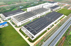 桃花源里，名酒武陵邀您共鉴三十五年时光醇香