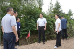 刘正仁督导长江干堤云溪段查险处险工作并会商防汛工作