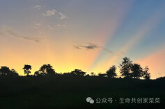 东非日记：深入乞力马扎罗山脚的马赛村