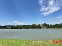 这里，两岸绿了！