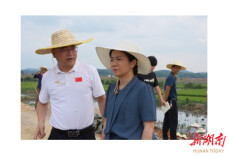 蒋春艳前往临湘市考察交流