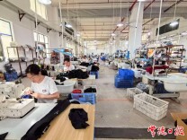 当“回归”开出花——安乡县发展“回归经济”观察