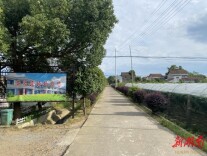 安福街道：环境整治齐参与  房前屋后焕新颜