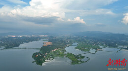 云溪区自然资源局：坚持党建引领护民生，绿色发展按下“快进键”