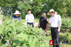 段贵建调研江华农业经济转型升级及蔬菜产业发展情况
