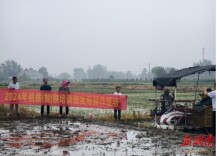 临澧县开展2024年机插（抛）秧培训实操演练