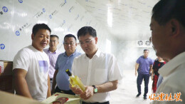 常德市政协领导来临开展和美乡村建设界别视察