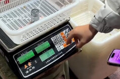 永定区一水产店使用“鬼秤” 被查 没收违法所得并罚款1000元