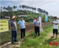 新安镇：隐患排查筑牢水库防汛安全网