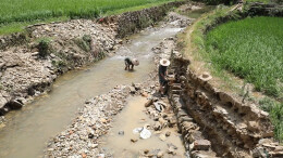 统筹抓好防汛抗灾和灾后重建 | 会同： 全力恢复农业生产