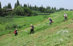 操军镇：清基扫障“大比赛”筑牢防汛安全防线