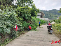 辰溪县谭家场乡：环境整治不停步 提高群众满意度