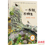 暑假，带孩子去看“一木倒，万物生”