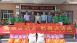 杨健桃带队开展送清凉慰问活动