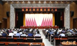 临澧县召开高质量发展暨优化营商环境推进大会