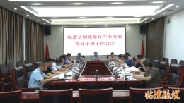 临澧县烟花爆竹产业发展领导小组工作会议召开