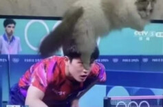 得了不敢看奥运的病……🤣🤣🤣🤣🤣