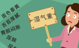 高温暴雨“湿气重”，中医有妙招