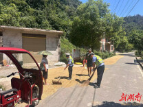 道县：公路上晒稻谷 交警劝导除隐患