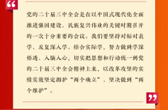 【海报】市州民宗局长热议党的二十届三中全会精神