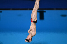 中国选手提前锁定跳水男子3米板金牌