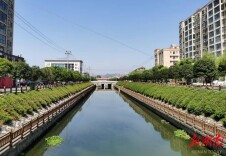 新安澧水入河排污口整治完成66.6%