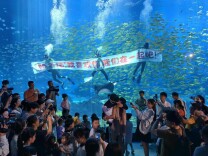 浪漫七夕，湘江欢乐海洋公园上演“海洋惊喜告白”！