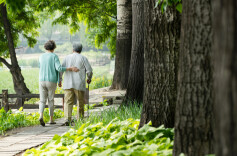 老林夫妇的田园风光