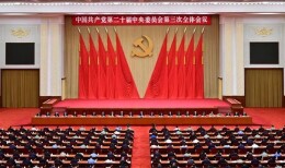 学习贯彻党的二十届三中全会精神 湖南民企这样说
