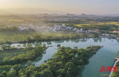 道县施行林长制推进林业高质量发展