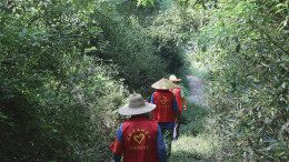 章华镇凤形村筑牢“中元节”森林防火防线