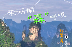 海报|来湖南 “森”呼吸