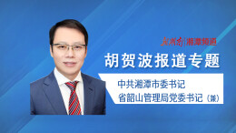 胡贺波报道专题