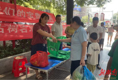 “聚焦两年行动 共护古树名木”——辰阳镇开展古树名木保护管理科普宣传月活动