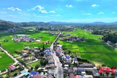 韶山杨林乡：“五个振兴”共绘乡村发展“新蓝图”