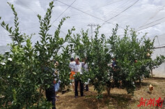 资兴移民系统：科技特派员奔赴一线助力灾后复产