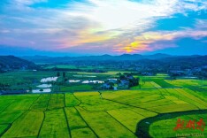 含浦街道：无边绿锦织云机 农旅融合遍地“金”