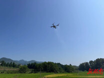 永顺：开展“一喷多促” 实现稳产增产