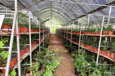 泸溪松柏潭村：“百姓微心愿”解锁群众致富“新路子”