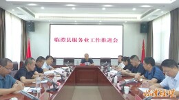 临澧县服务业工作推进会召开