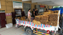 江华：“绿”叶变“金”叶