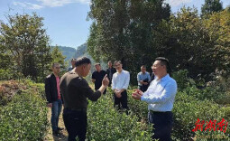 祁永一家亲，对口帮扶“湘”当有“料”